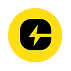 Electronica XR